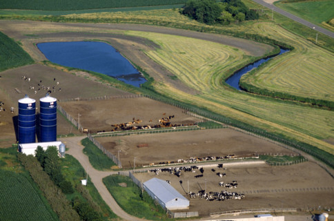 IOWA DAIRY FARM IOWA
