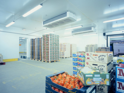 Vegetables ready for shipping at Rungis wholesale market, Rungis, France.