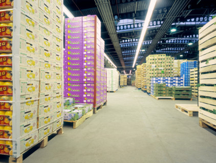 Fresh fruit and vegetables at Rungis wholesale market at dawn, France