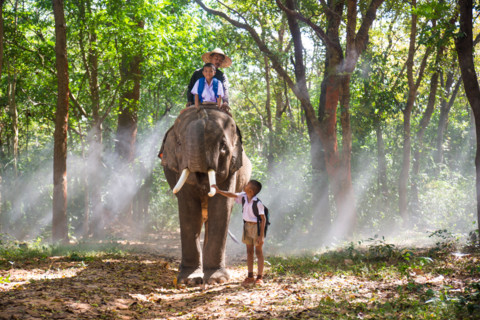 Elephant and farmer with school kids in asian countryside in Thailand - Thai elephant in Surin region
