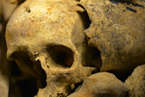 Subterranean world of the Catacombs of Paris featuring skulls and haunting eye sockets