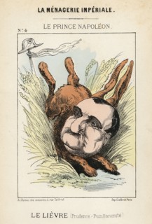 Prince Napoléon. Caricature