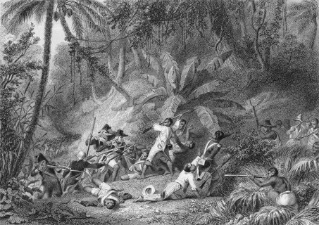 Saint-Domingue, prise de la ravine aux couleuvres