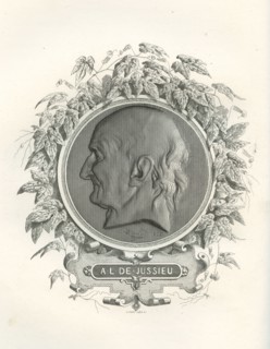 Antoine-Laurent de Jussieu
