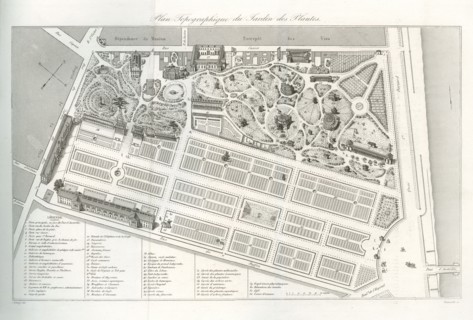 Plan topographique du Jardin des Plantes