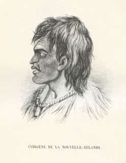 Indigène de la Nouvelle-Zélande