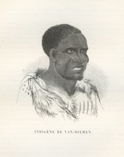 Indigène de Van-Diemen (Tasmanie)