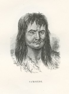 Homme Samoiede