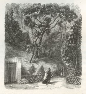 Le Jardin des Plantes de Paris