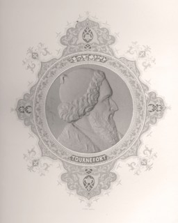 Joseph Pitton de Tournefort