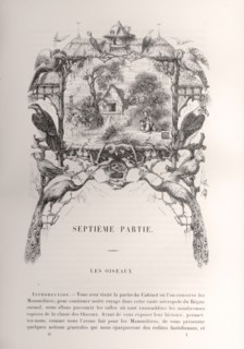 Enfants pêchant au bord d'une rivière