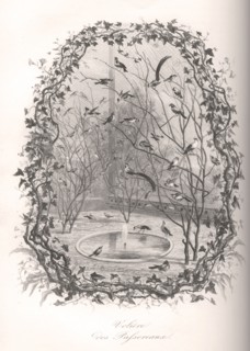 Volière des passereaux du Jardin des Plantes de Paris