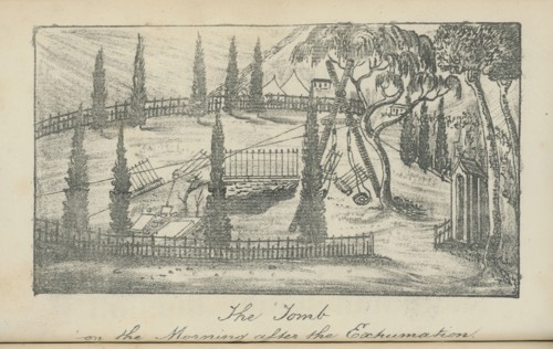 Napoleon's tomb in St. Helena the morning after the exhumation