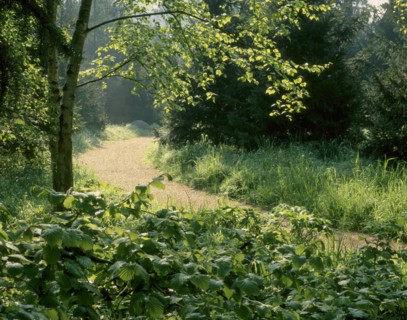 Jardins Albert Kahn à Boulogne-Billancourt
