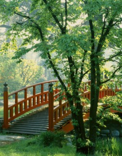Jardins Albert Kahn à Boulogne-Billancourt