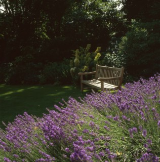 Jardin de l'ambassade de Grande-Bretagne à Paris