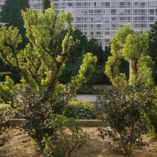 Jardin Atlantique à Paris