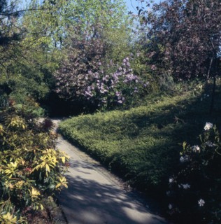 Parc de Belleville à Paris