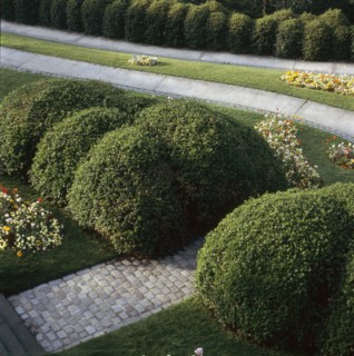 Parc de Belleville à Paris