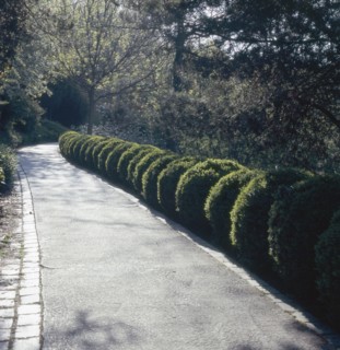 Belleville public garden in Paris