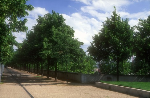 Parc de Bercy à Paris