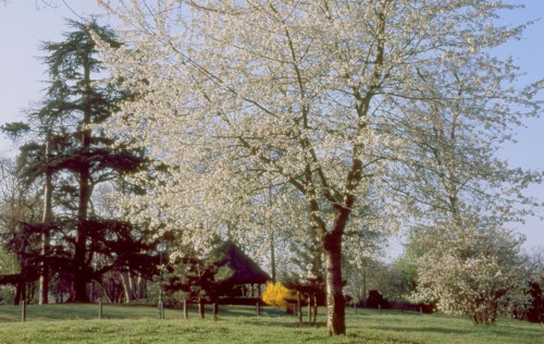 Bois de Boulogne