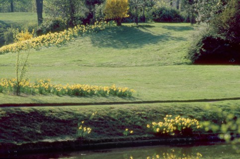 Bois de Boulogne