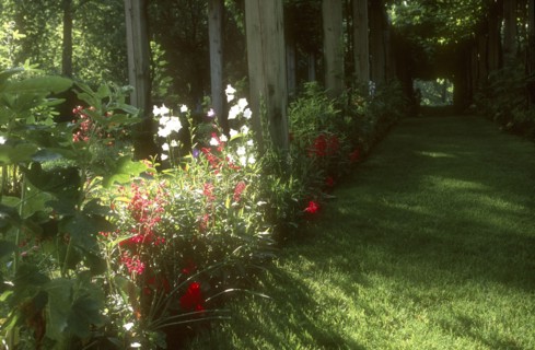 Bois de Boulogne