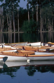 Bois de Boulogne