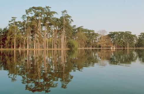 Bois de Boulogne