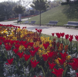 Parc de la Butte du Chapeau Rouge à Paris