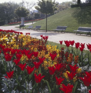 Parc de la Butte du Chapeau Rouge à Paris