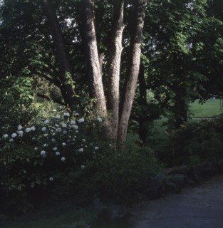 Kellermann garden in  Paris