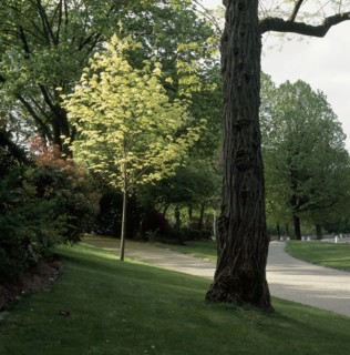 Kellermann garden in  Paris