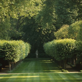 Parc de l'hôtel Matignon à Paris