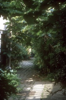 Quartier de la Mouzaïa à Paris