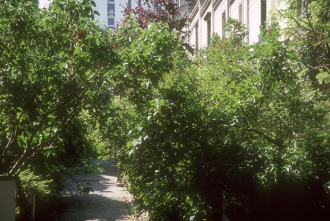 Quartier de la Mouzaïa à Paris