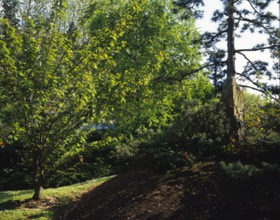 Jardin de l'Unesco à Paris