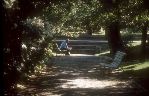 Parc de Bercy à Paris