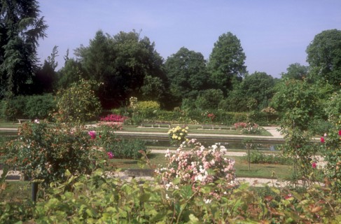 Arboretum de l'école du Breuil à Paris