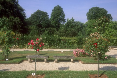 Arboretum de l'école du Breuil à Paris