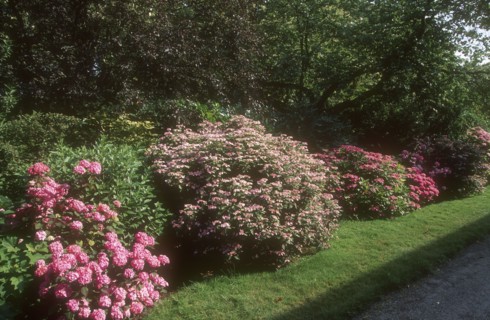 Arboretum de l'école du Breuil à Paris