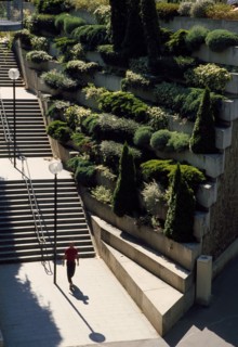 Escalier de la promenade plantée à Paris