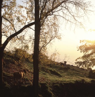 Domaine de Rocagel