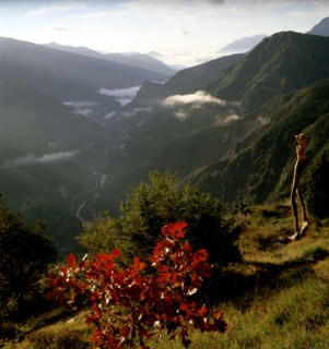 Arboretum de Roure (Alpes-Maritimes)