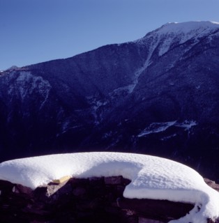 Arboretum de Roure (Alpes-Maritimes)