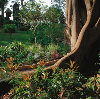 Monaco, Jardins du Palais des Grimaldi