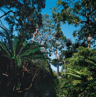 Monaco, Jardins du Palais des Grimaldi