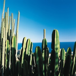 Monaco, Jardin exotique