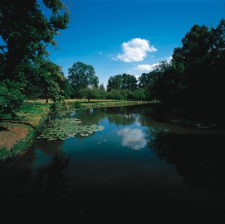 Parc du château de Marchais (Aisne)